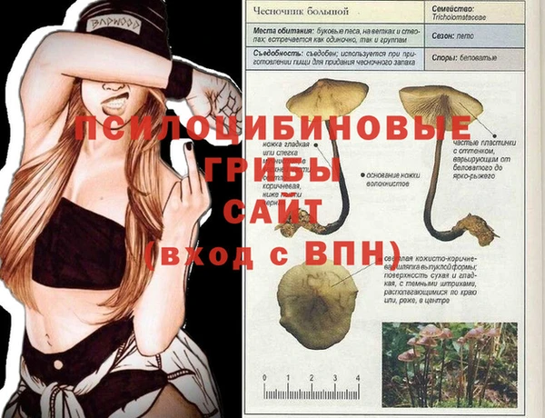 героин Надым